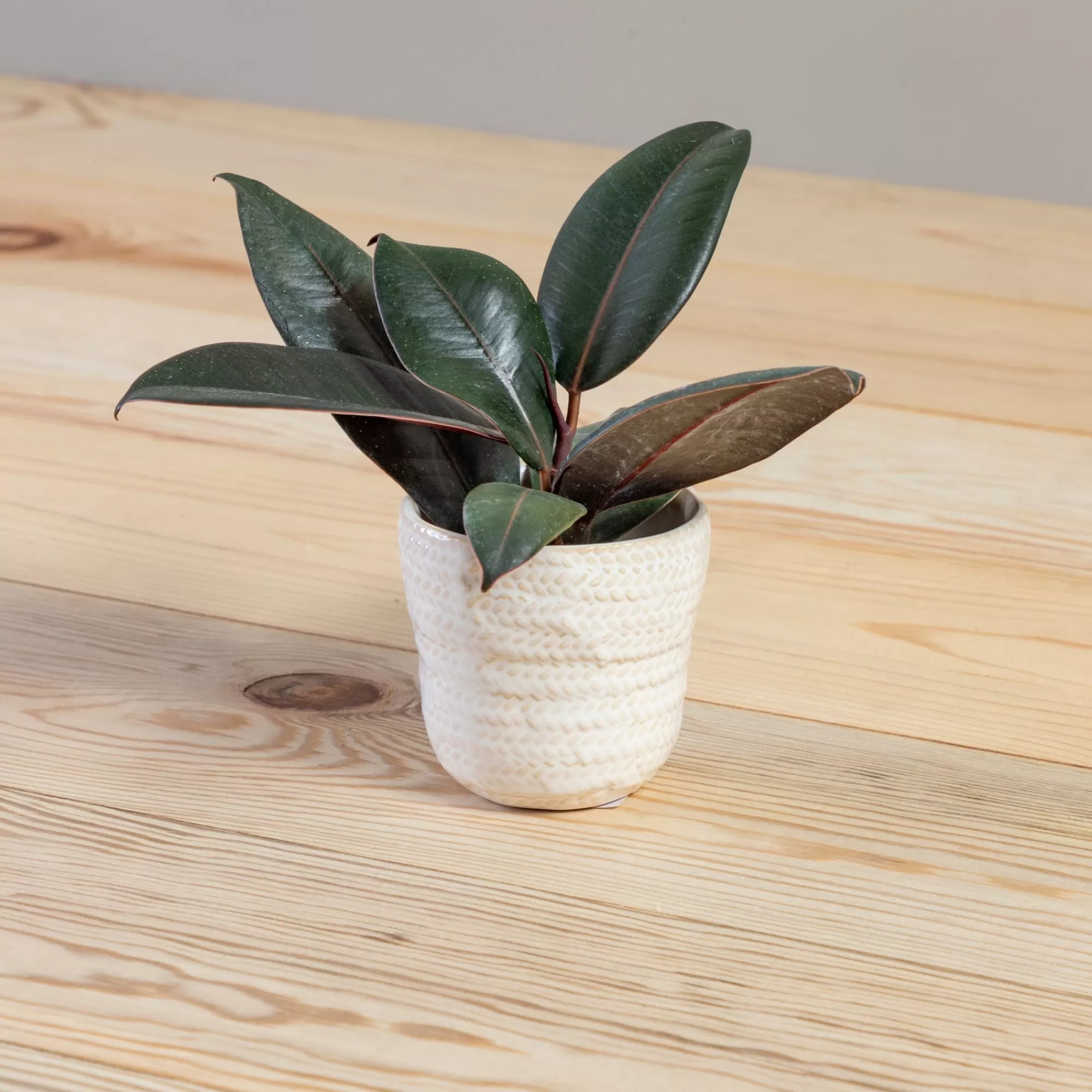 Outlet Be Home Amstel Pot, Small