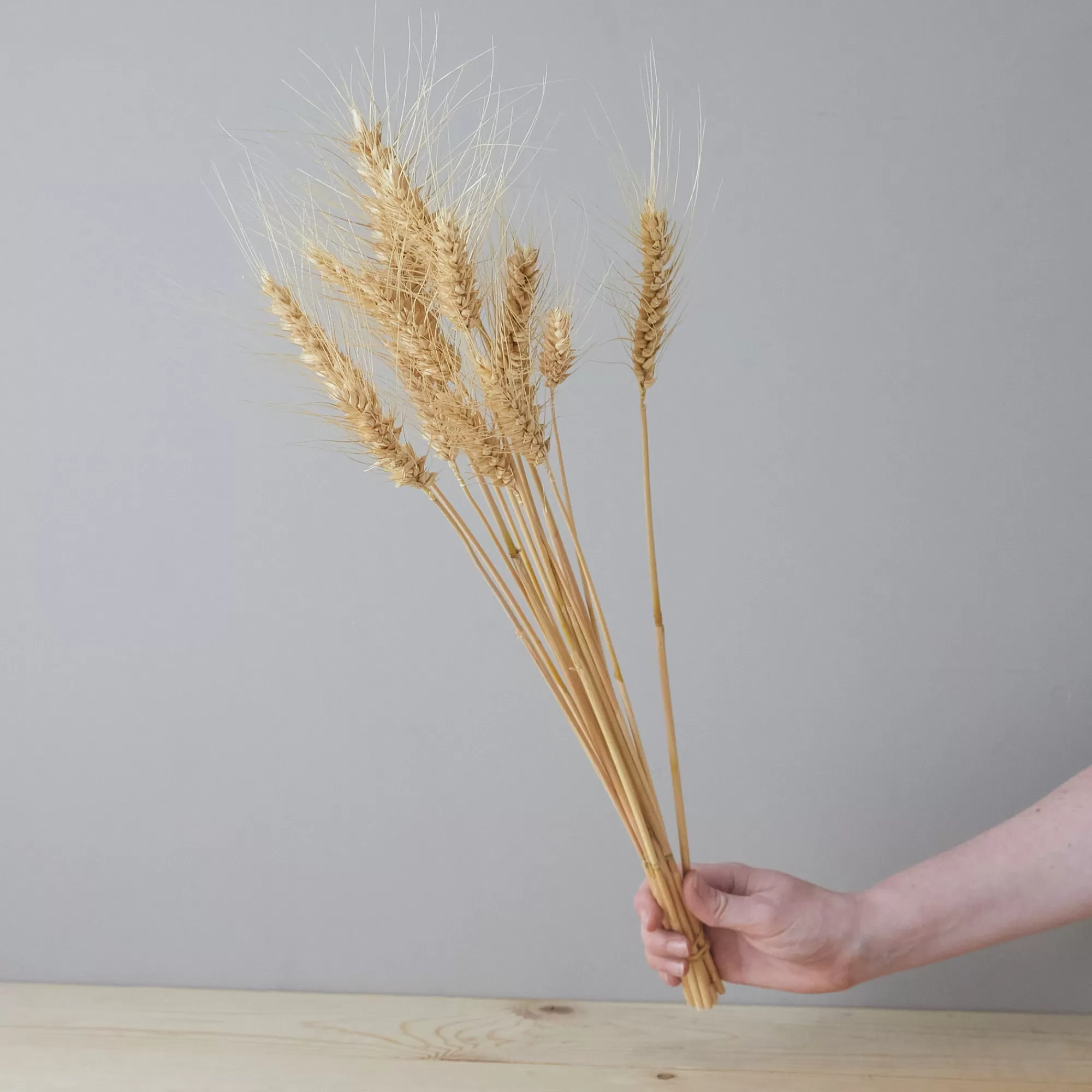 Shop Be Home California Golden Wheat