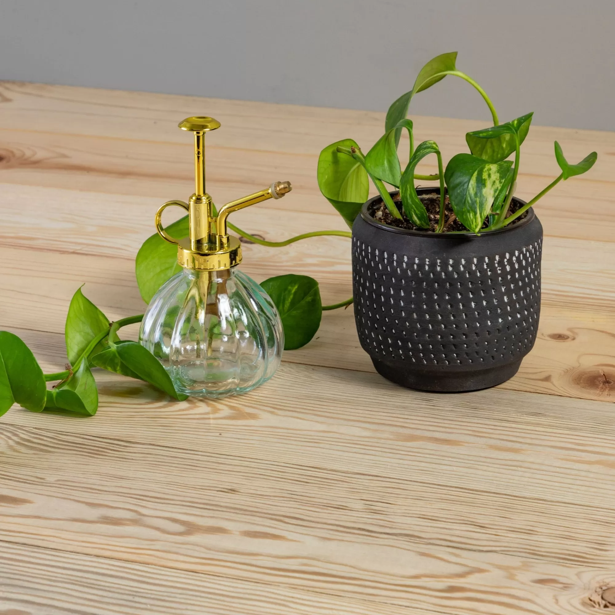 Store Be Home Delrado Pot