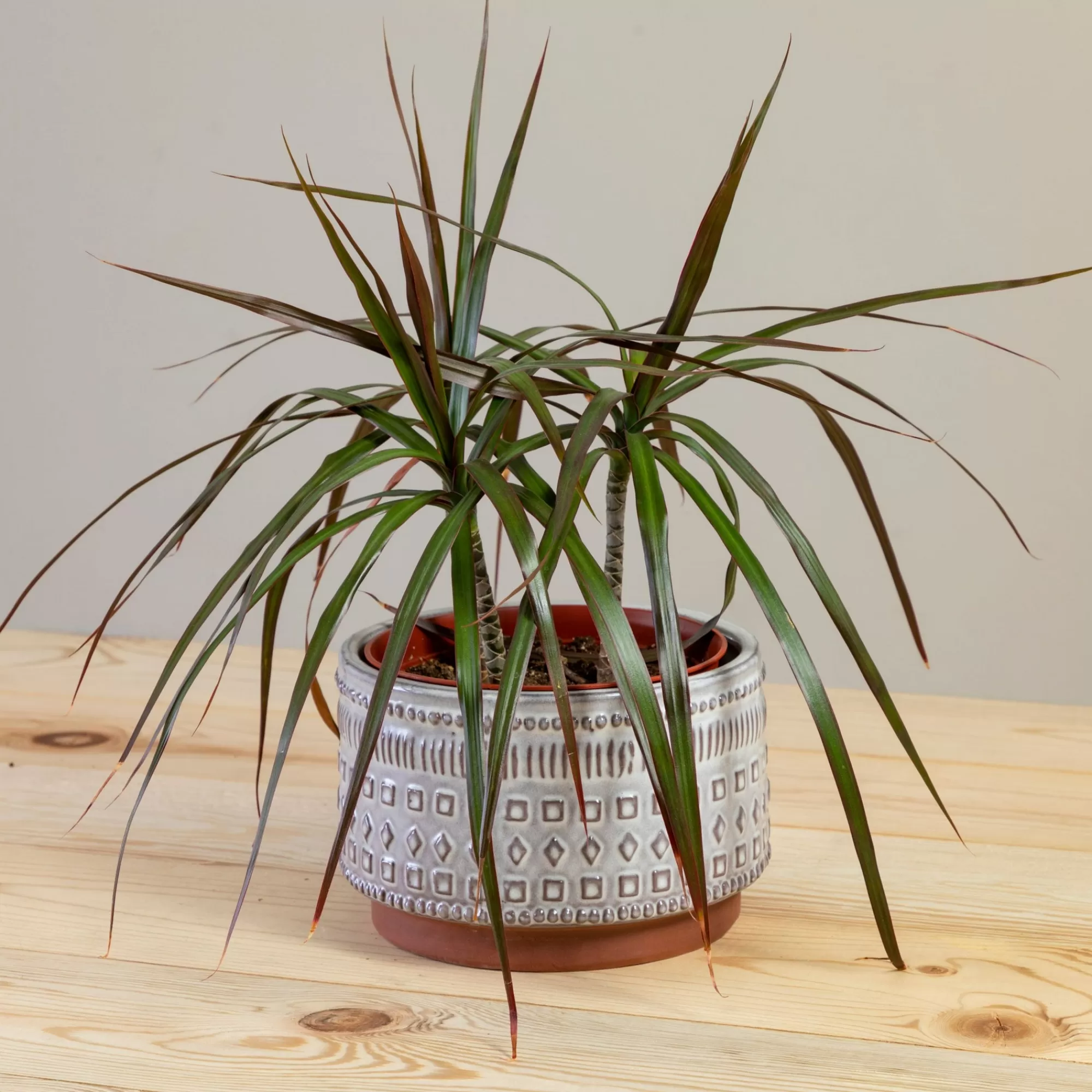 New Be Home Freja Pot, Large