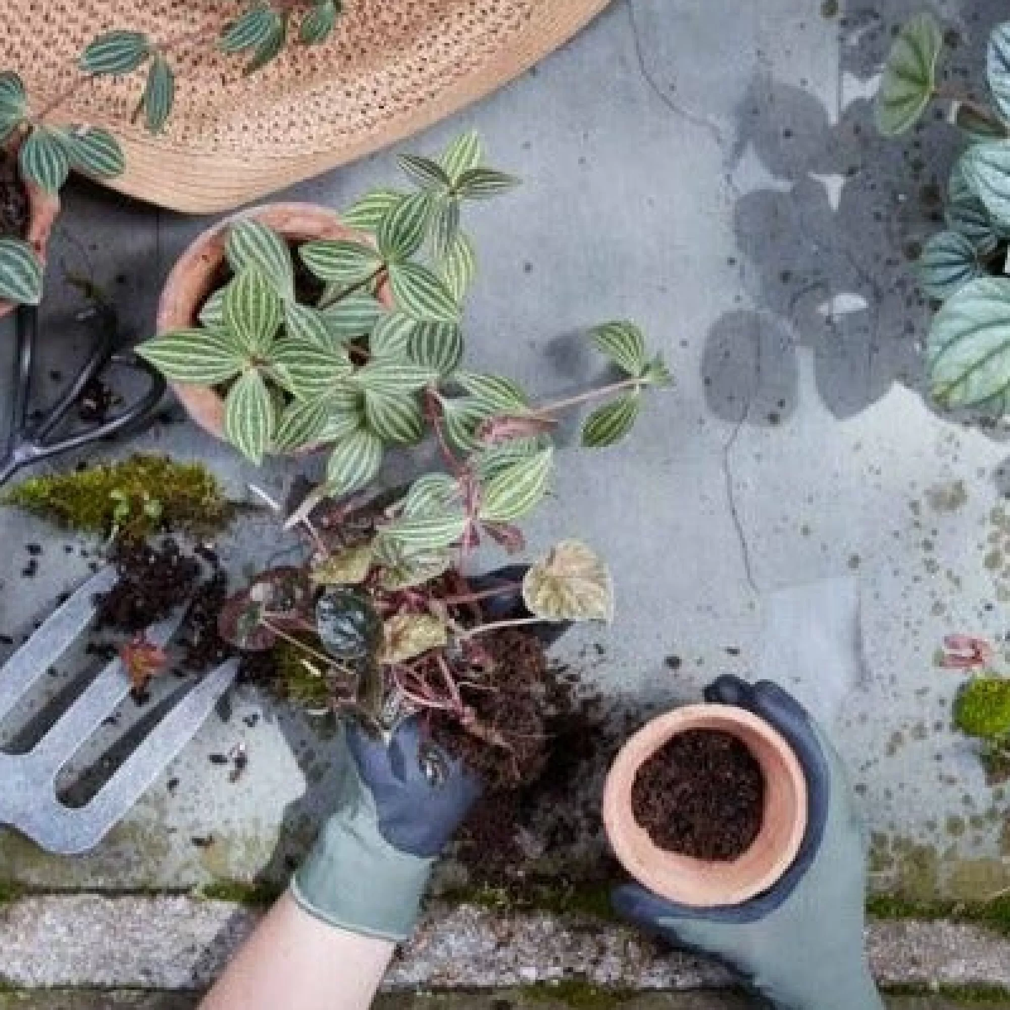 Online Be Home Garden Gloves