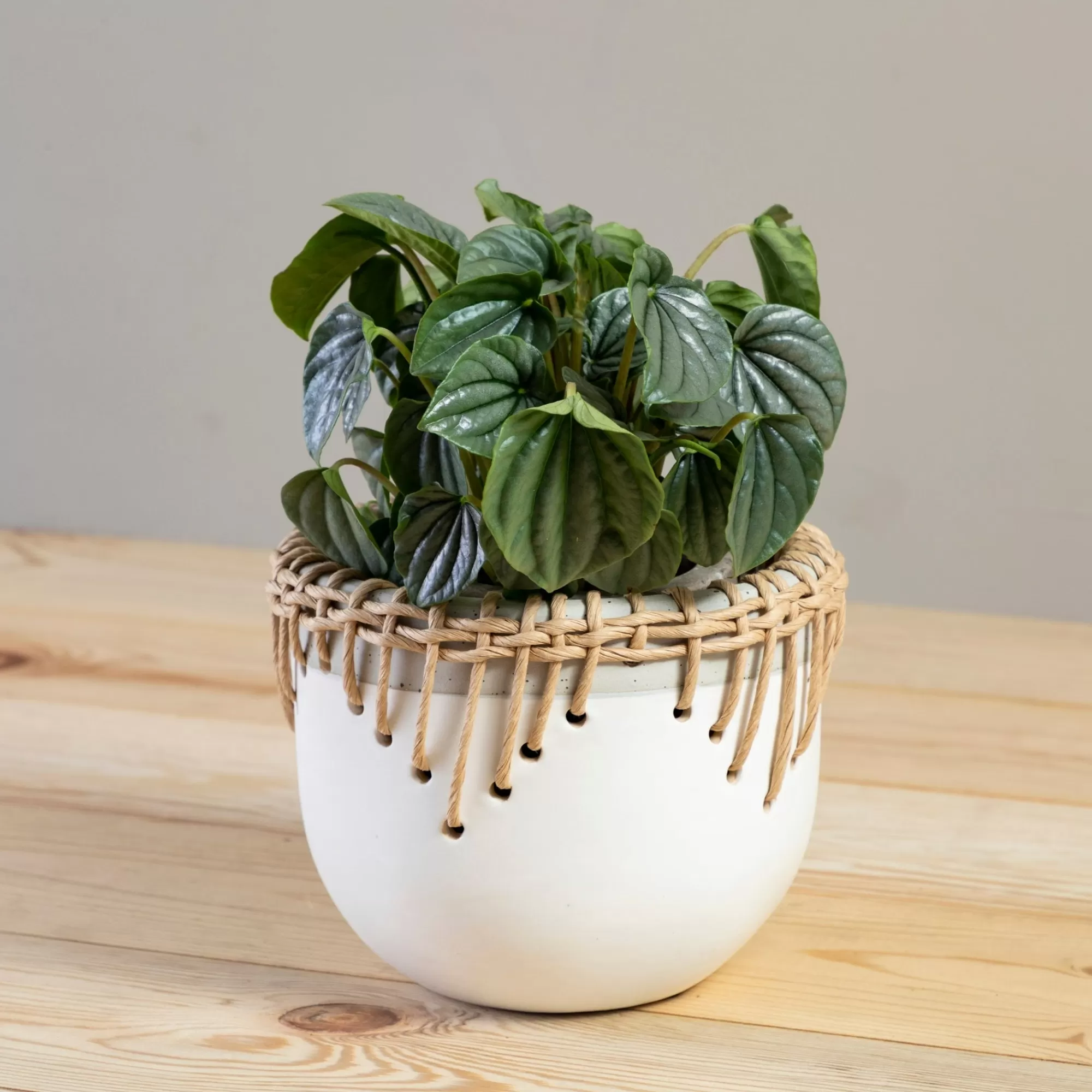 Outlet Be Home Hideaway Pot