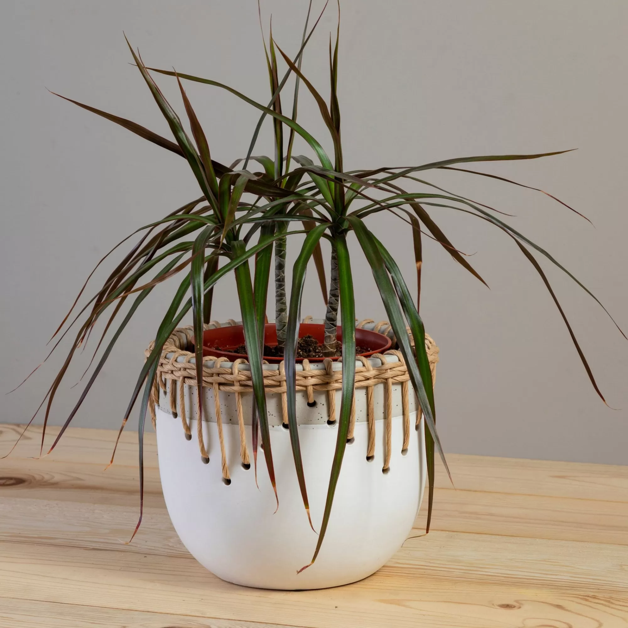 Shop Be Home Hideaway Pot, Large