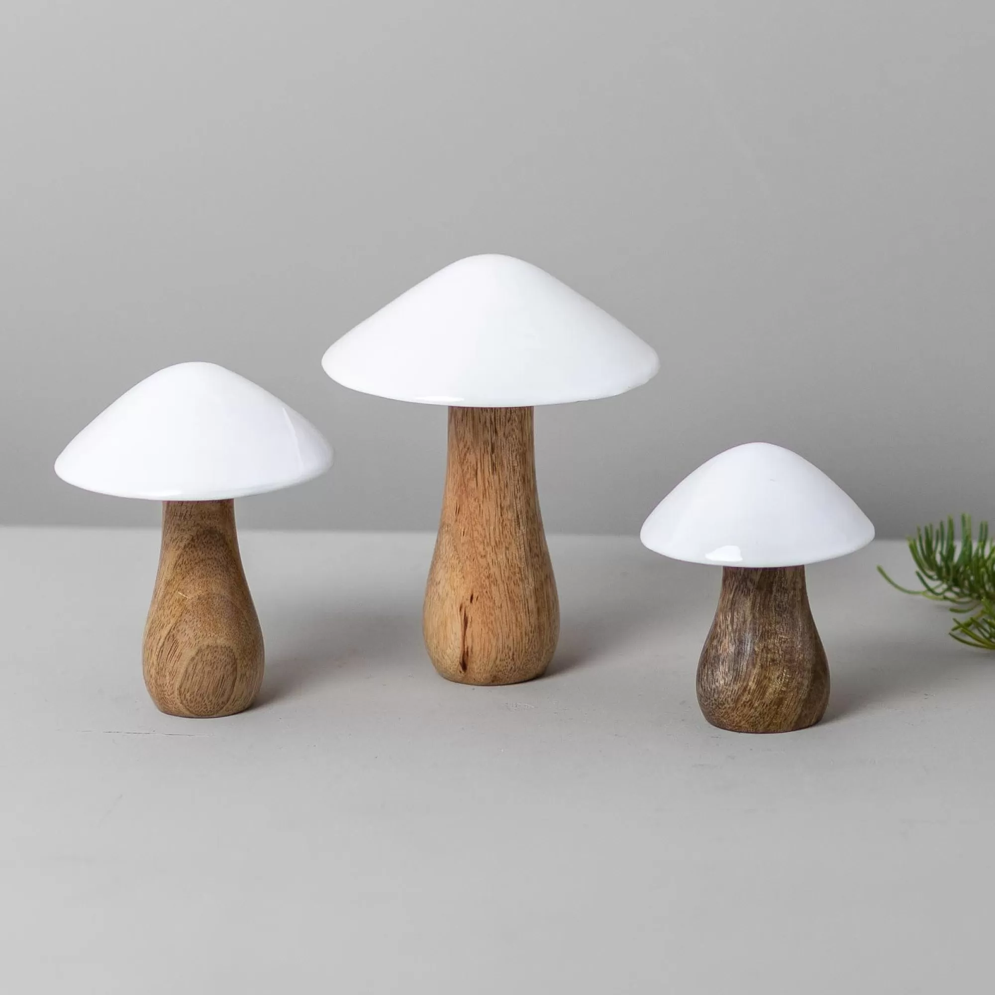 New Be Home Mango Wood & Enamel Mushroom, Medium