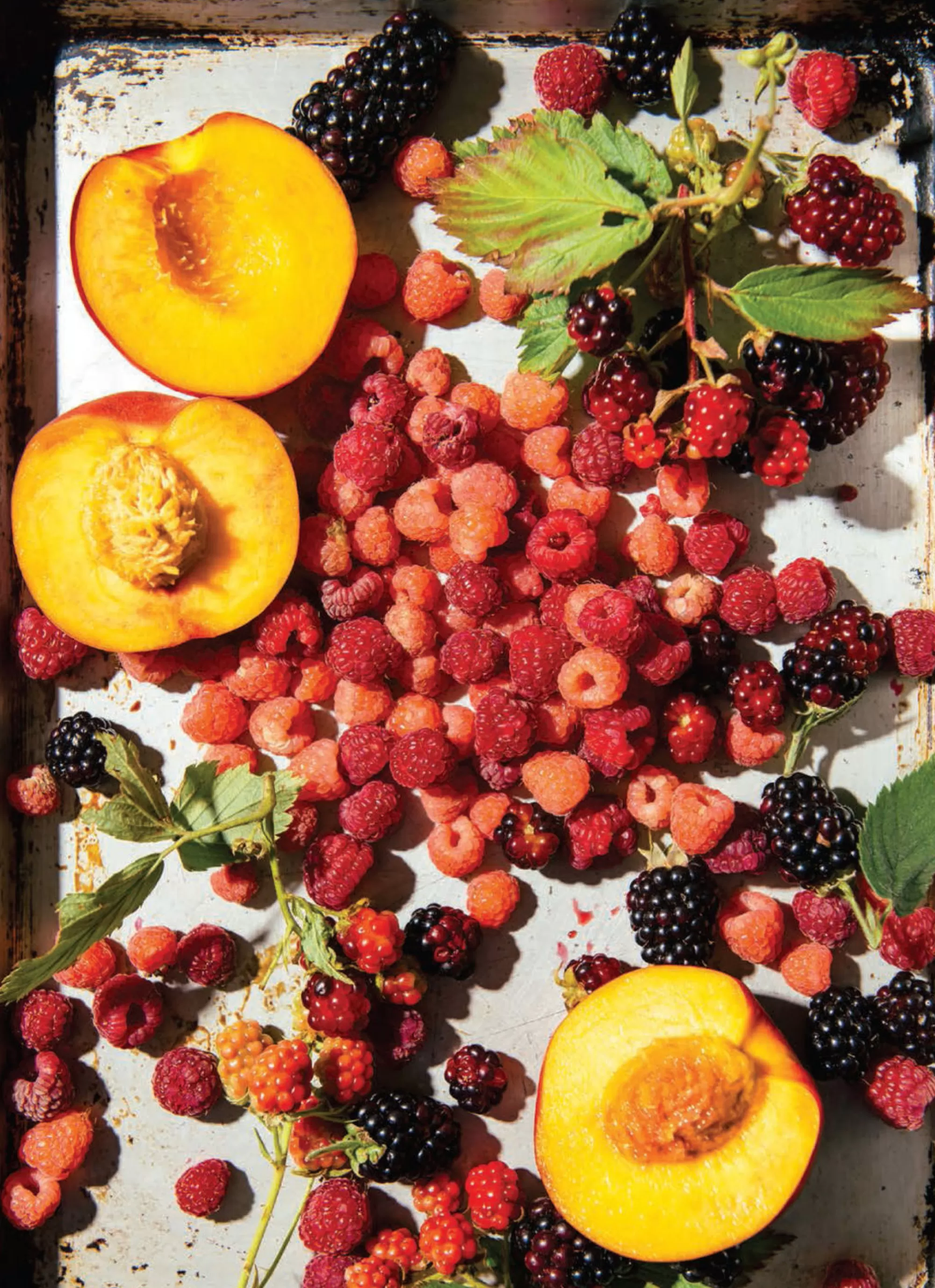 Sale Be Home Pulp: A Practical Guide to Cooking with Fruit by Abra Berens