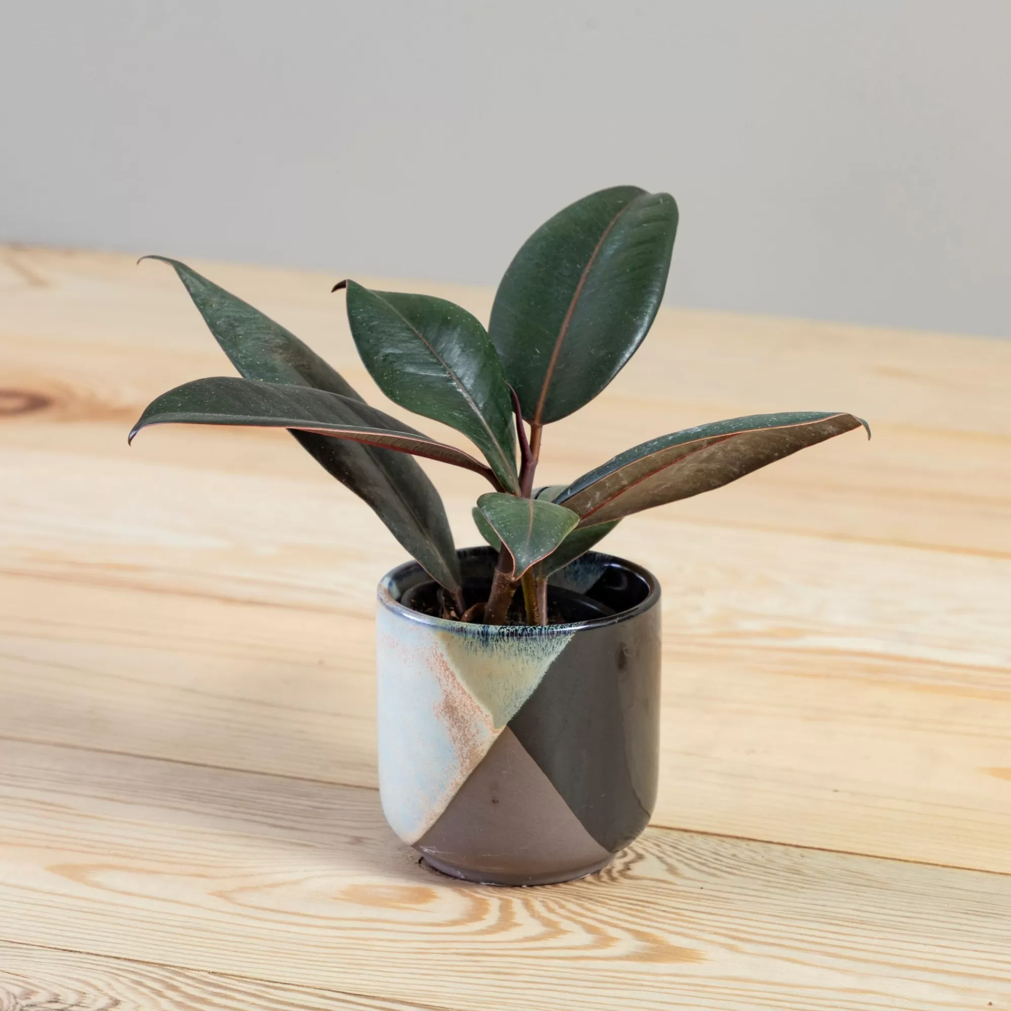 Store Be Home Retro Pot