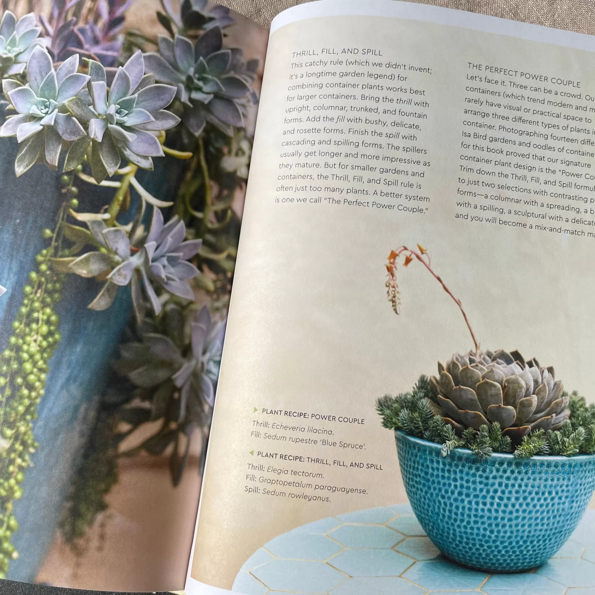 Hot Be Home Small Garden Style by Isa Hendry Eaton and Jennifer Blaise Kramer
