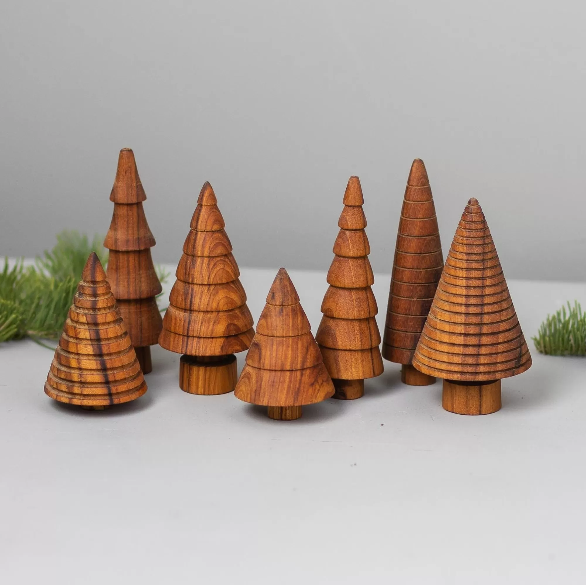 Outlet Be Home Teak Woodland Forest Tree, Cedar