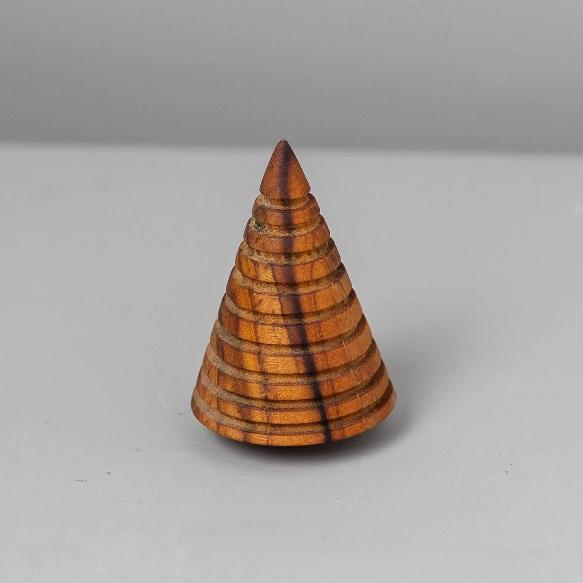 Store Be Home Teak Woodland Forest Tree, Hemlock