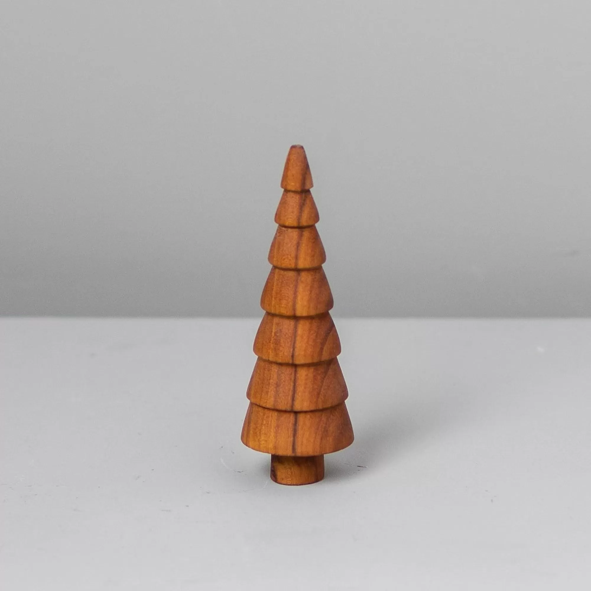 Hot Be Home Teak Woodland Forest Tree, Redwood