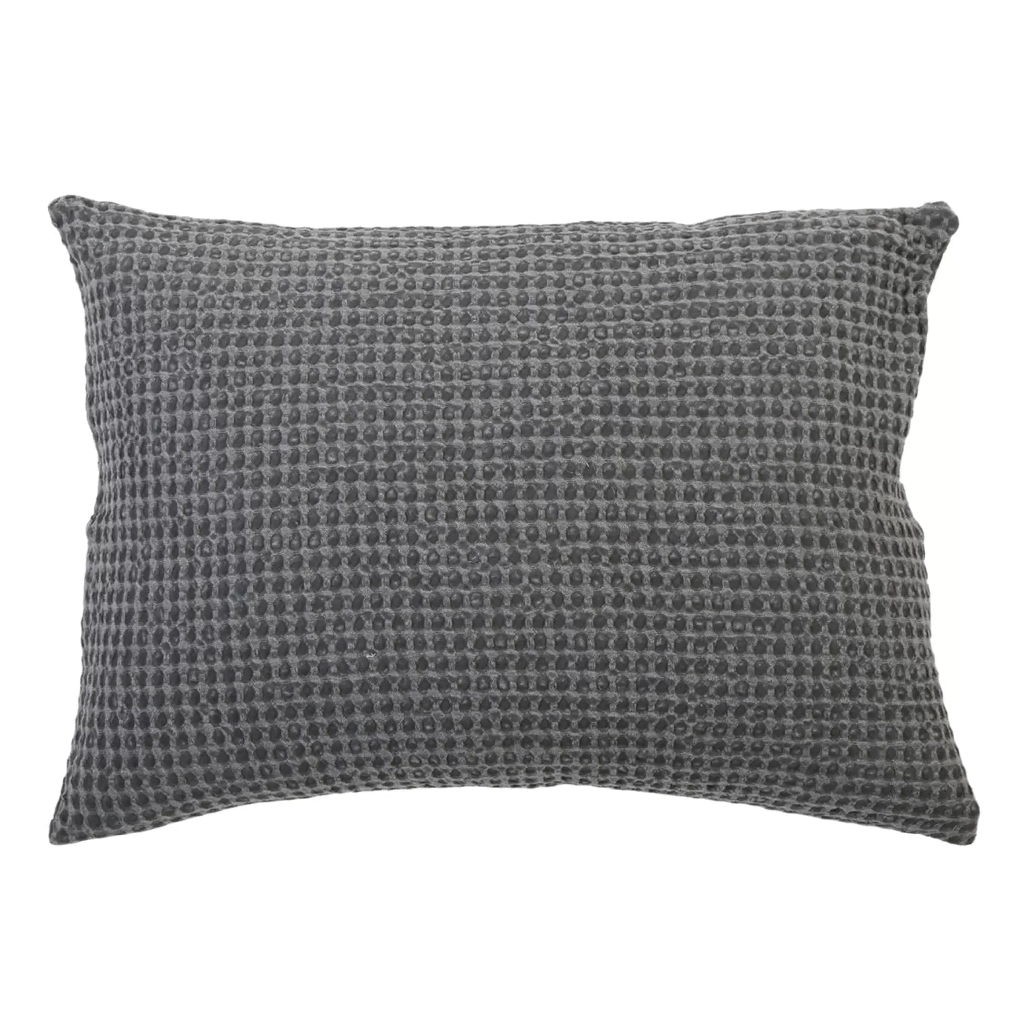 Best Sale Be Home Zuma Big Pillow, Charcoal